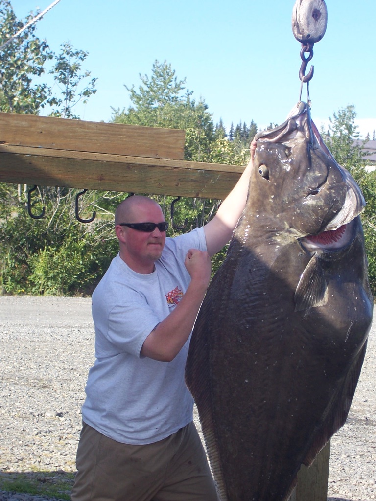 kenai halibut fishing